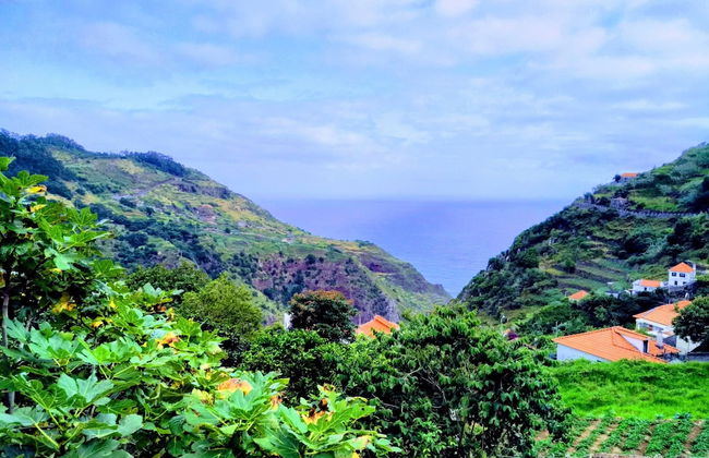 Quinta do Serrado - Foto 38