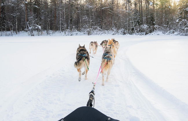 The Elegant Haistila - Foto 62