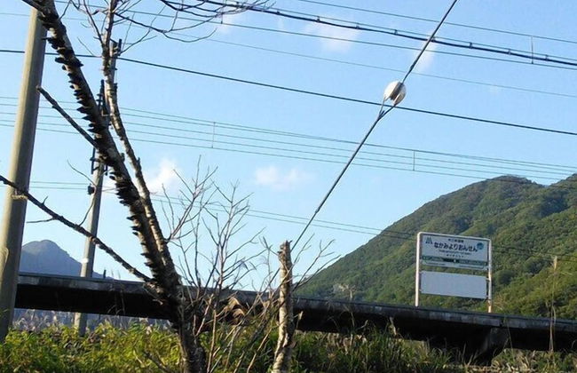 Miyori Furusato Taikenmura - Foto 47