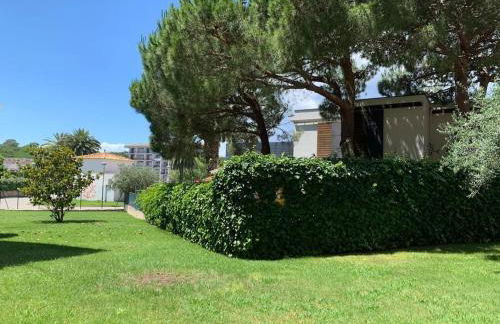 Esperança 13 - Foto 5