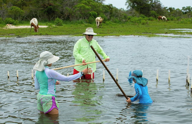 Key West Cottages - Photo 40