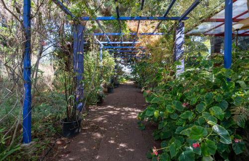 Vivelorural Casita Vintage, Santa Brígida - Foto 47