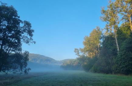Ferienhaus Rehblick - direkt in der Natur, mit Lesezimmer und zwei Terrassen - Foto 48