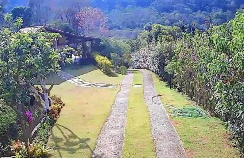 Vale das Estrelas - vale das videiras - araras - Foto 6