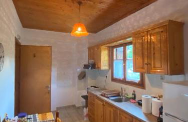 Zirganos Horton Pelion Apartment 2 - Foto 3