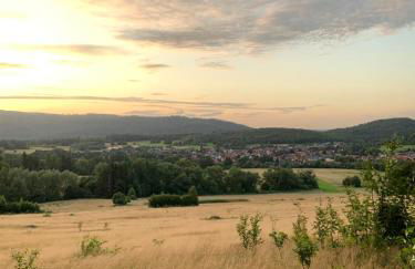 Wolfs-Blick - Foto 17