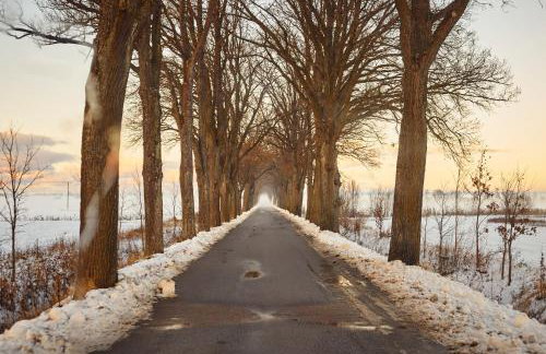 Dębinówka - Foto 41