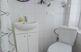 Dom na Starym Gościńcu Tiszyna - Foto 25