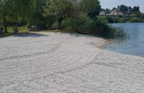 Villa Fabry - Foto 53