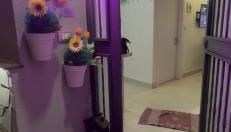 Chloe's House - Foto 2