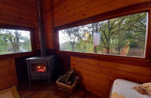 Veiga Mariña - Foto 30