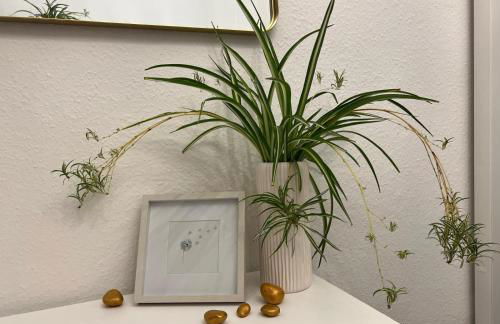 Altstadtnest - Foto 30