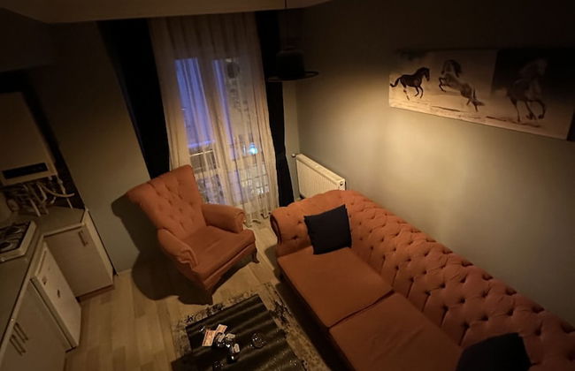 Aydogdu Suit - Photo 44