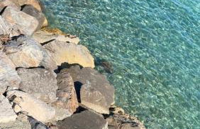 VillaMarzia - Foto 68