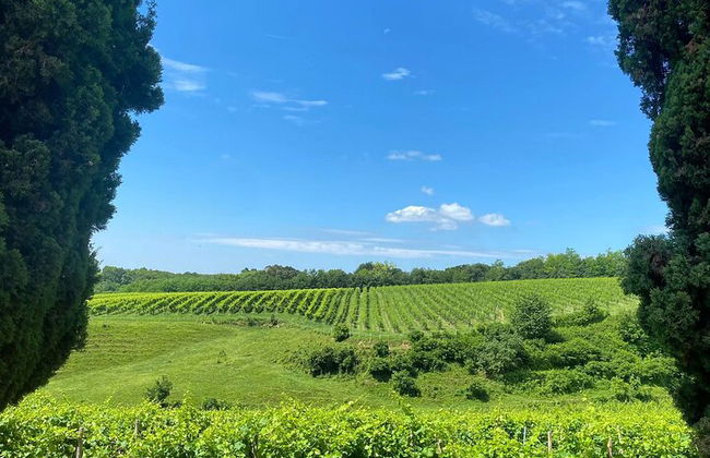 Premium Private Prosecco Hills Tour - 2 Cantine. Tour privato. - Foto 30