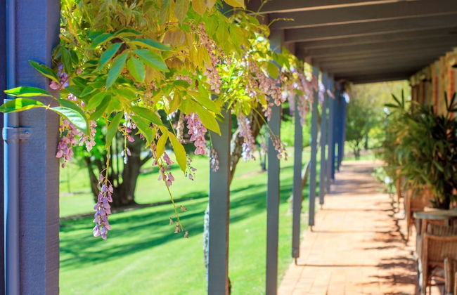 Bright Mystic Valley - Foto 30