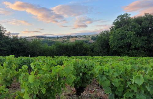 Beaujolais - Maison pierres dorées - Foto 40