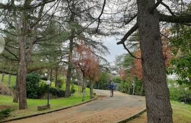 Le Stagioni del Parco - Foto 57