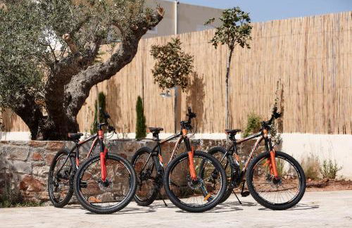 Volta Suites and Villas - Foto 46