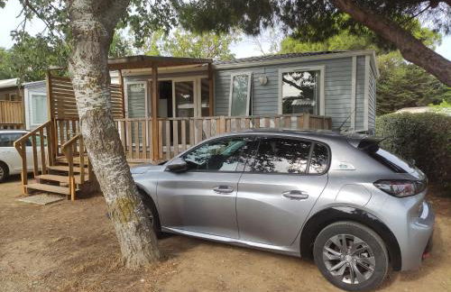 Mobilhome climatisé et ombragé - Foto 10