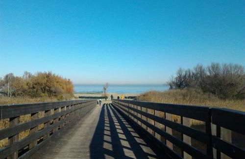 Appartamento Lavanda - Casa vacanza nel Delta del Po - Foto 31