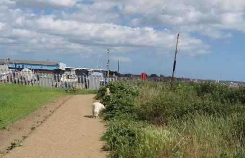 The Tack Room at Eastmoor Farm Fantastic 2 Bed Dog Friendly Luxury Cottage with Secure Gardens and Onsite Parking - Foto 33