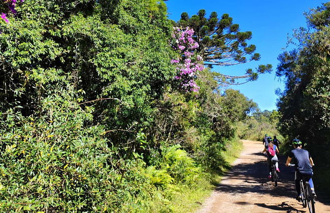 Fortaleza Canyon Bike Tour - Photo 4