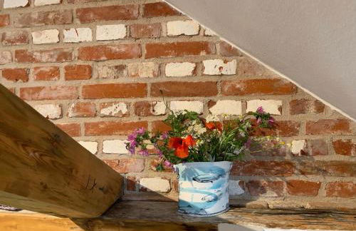 FeWo Herrmann - Foto 6