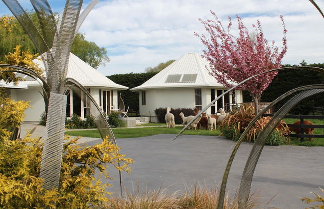 Silverstream Alpaca Farmstay and Tour - Foto 39