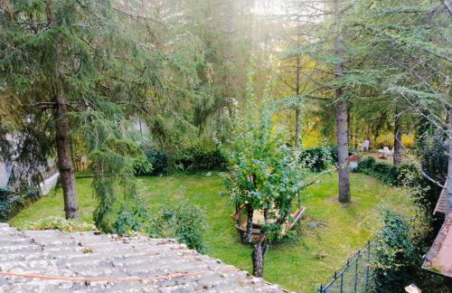 La Stella Alpina - Photo 39