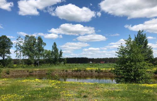 Sosnówka - dom wypoczynkowy na Kurpiach - Foto 41