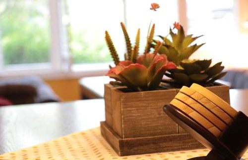 Paradise in the Sun - Foto 11