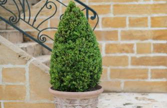 Château Forge du Roy - Foto 9