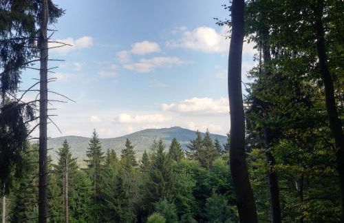 Haus Annemarie - Foto 35