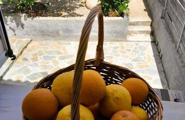 Valira Cozy Maisonette - Relaxing Vibes Getaway - Foto 88