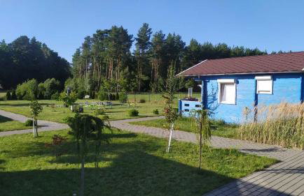 Domki pod Łebą - Photo 19