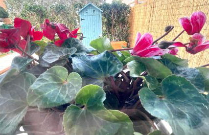 Domus Libeccio 57 - Foto 50