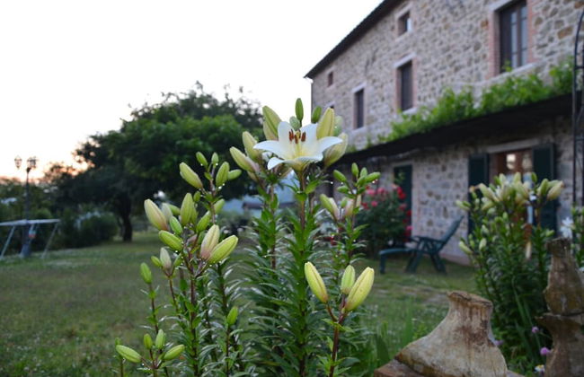 Agriturismo La Marianella - Foto 57