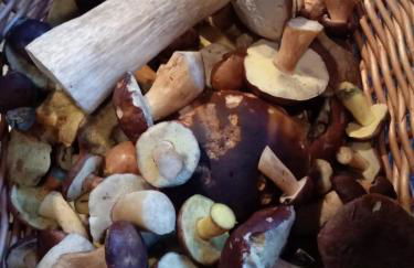 Ferienwohnung Schmallenberg - Foto 47