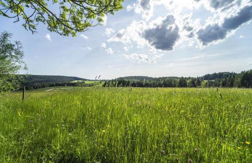 Waldfrieder Ferienwohnungen - Foto 6