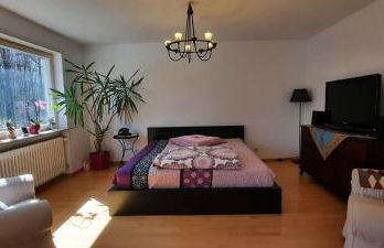 Forest Inn, retreat in nature - Foto 1