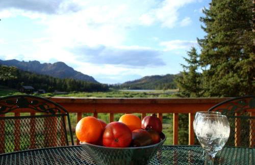 Impressive Cabin Rental with Views of Pike National Forest near Colorado Springs, Colorado - Foto 7