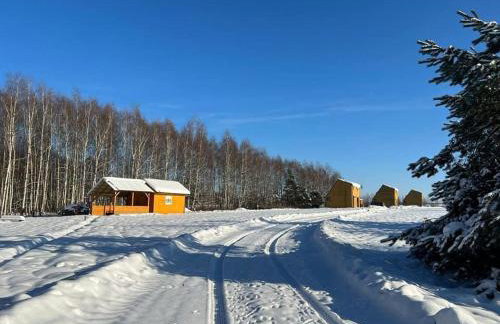 Detached Holiday Home in Horyniec-zdroj With Sauna - Foto 9