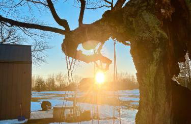Vilanovka - domki z prywatną balią przy stawie i lesie - Foto 68