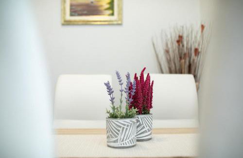 Apartments Stipančić - Foto 40