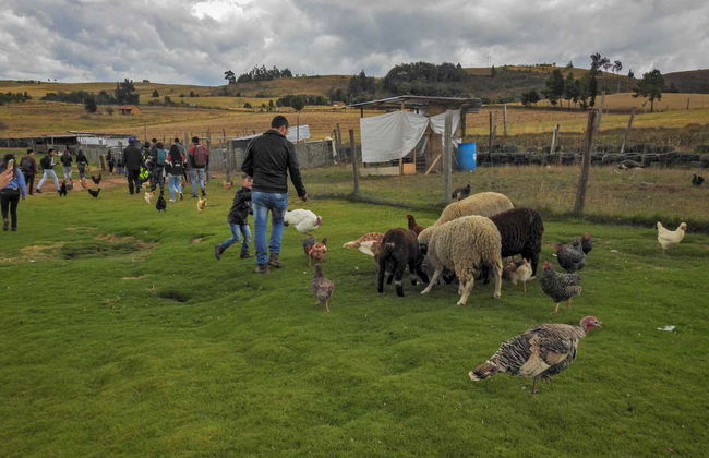 Rural Adventure Tour in Tunja - Photo 4