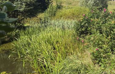 Landhaus Sommerberg - Foto 32