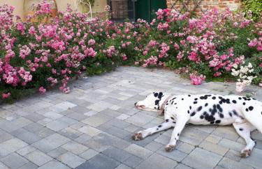 Casa relax immersa nel verde della natura - Foto 52