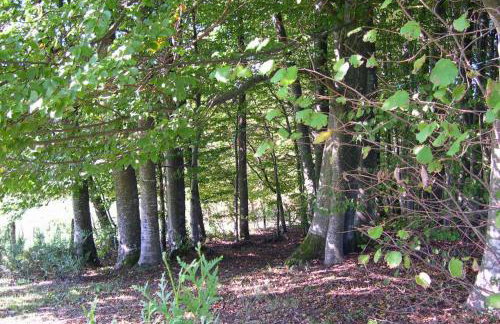 Gîte Les Hirondelles - Foto 41