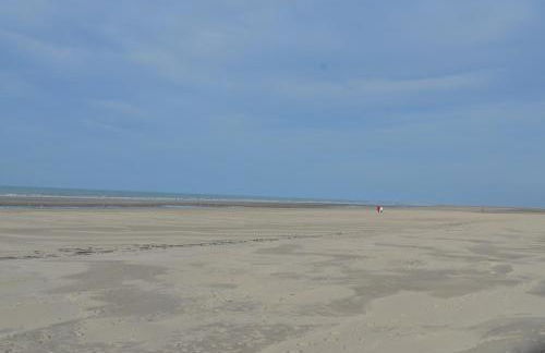 La villa dans les pins - Photo 37